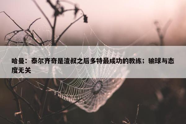 哈曼：泰尔齐奇是渣叔之后多特最成功的教练；输球与态度无关