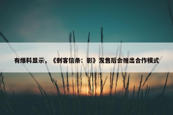 有爆料显示，《刺客信条：影》发售后会推出合作模式