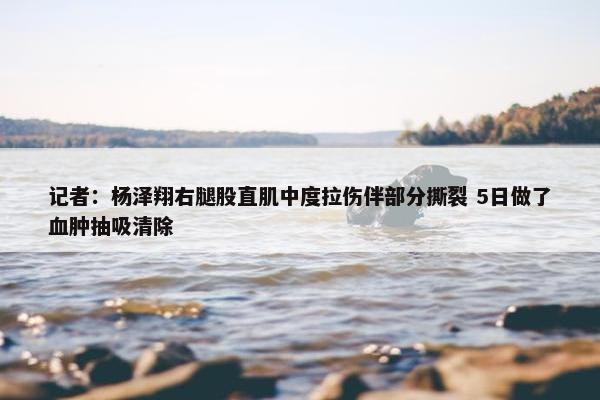 记者：杨泽翔右腿股直肌中度拉伤伴部分撕裂 5日做了血肿抽吸清除