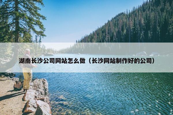 湖南长沙公司网站怎么做（长沙网站制作好的公司）