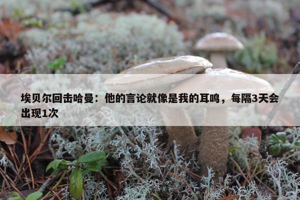 埃贝尔回击哈曼：他的言论就像是我的耳鸣，每隔3天会出现1次