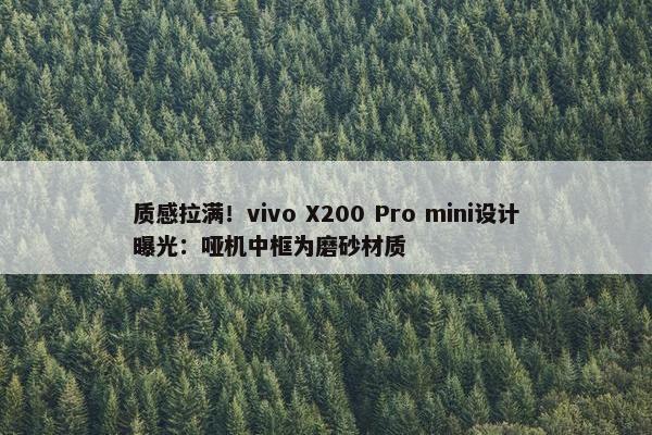 质感拉满！vivo X200 Pro mini设计曝光：哑机中框为磨砂材质