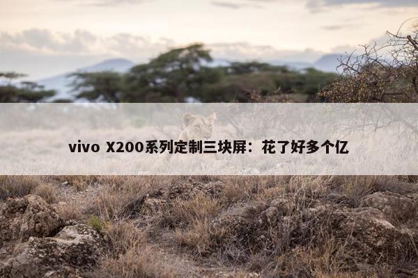 vivo X200系列定制三块屏：花了好多个亿