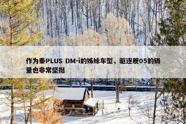 作为秦PLUS DM-i的姊妹车型，驱逐舰05的销量也非常坚挺