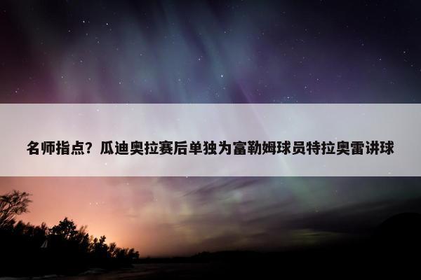 名师指点？瓜迪奥拉赛后单独为富勒姆球员特拉奥雷讲球