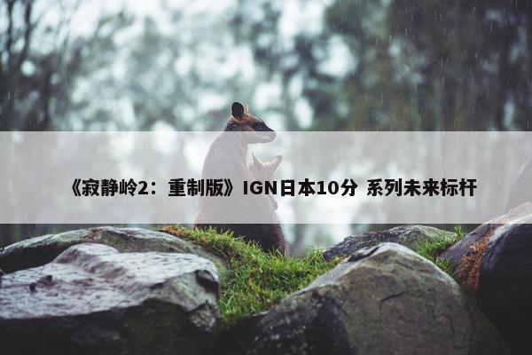 《寂静岭2：重制版》IGN日本10分 系列未来标杆