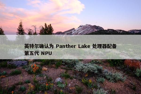 英特尔确认为 Panther Lake 处理器配备第五代 NPU