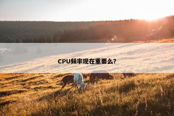 CPU频率现在重要么？