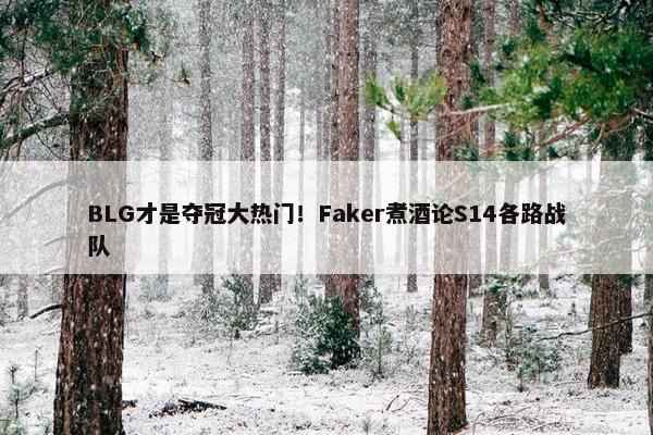 BLG才是夺冠大热门！Faker煮酒论S14各路战队