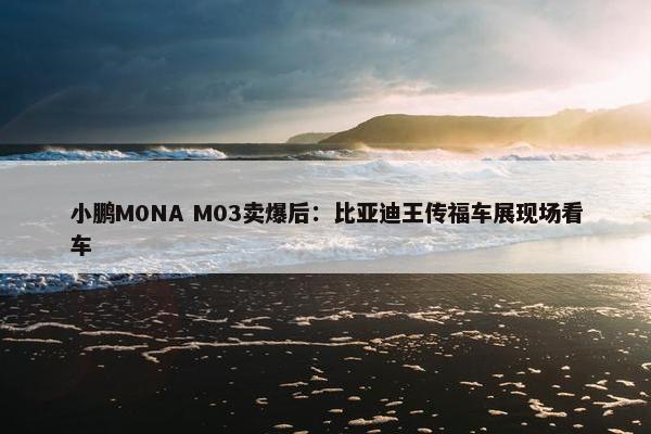 小鹏M0NA M03卖爆后：比亚迪王传福车展现场看车