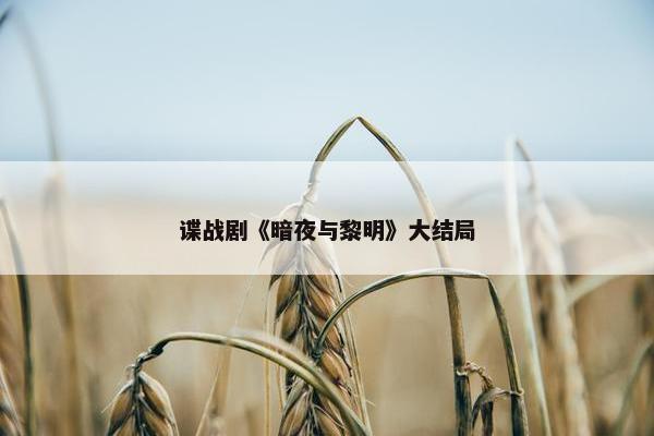 谍战剧《暗夜与黎明》大结局