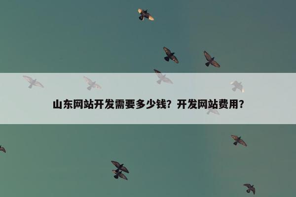 山东网站开发需要多少钱？开发网站费用？