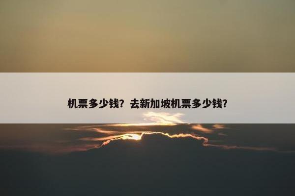 机票多少钱？去新加坡机票多少钱？