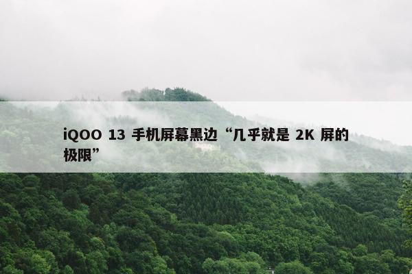 iQOO 13 手机屏幕黑边“几乎就是 2K 屏的极限”