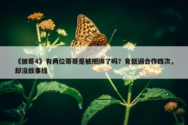 《披哥4》有两位哥哥是被捆绑了吗？竟低调合作四次，却没故事线