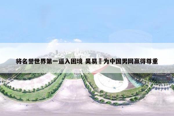 将名誉世界第一逼入困境 吴易昺为中国男网赢得尊重