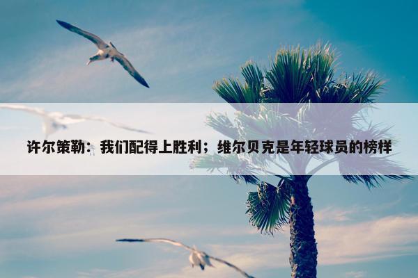 许尔策勒：我们配得上胜利；维尔贝克是年轻球员的榜样