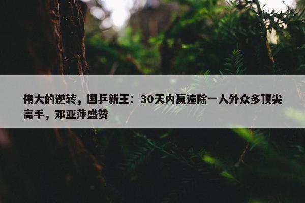 伟大的逆转，国乒新王：30天内赢遍除一人外众多顶尖高手，邓亚萍盛赞