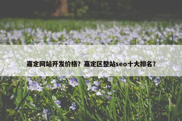 嘉定网站开发价格？嘉定区整站seo十大排名？