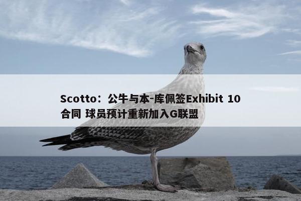 Scotto：公牛与本-库佩签Exhibit 10合同 球员预计重新加入G联盟