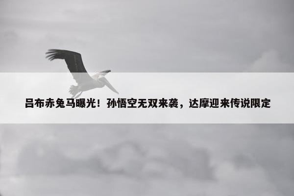 吕布赤兔马曝光！孙悟空无双来袭，达摩迎来传说限定