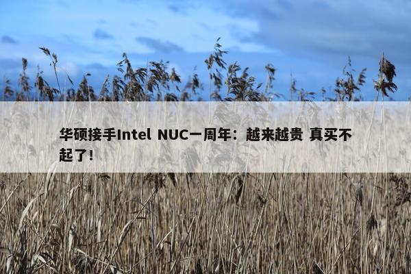 华硕接手Intel NUC一周年：越来越贵 真买不起了！