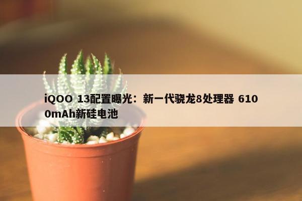 iQOO 13配置曝光：新一代骁龙8处理器 6100mAh新硅电池