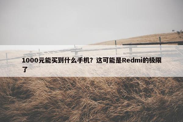 1000元能买到什么手机？这可能是Redmi的极限了