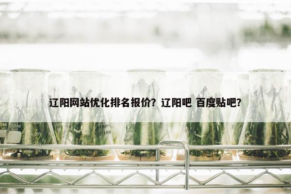 辽阳网站优化排名报价？辽阳吧 百度贴吧？