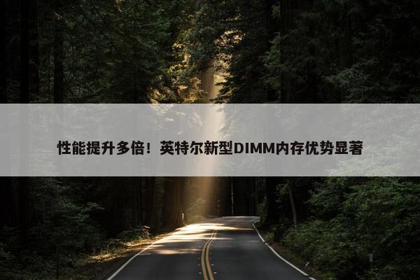 性能提升多倍！英特尔新型DIMM内存优势显著