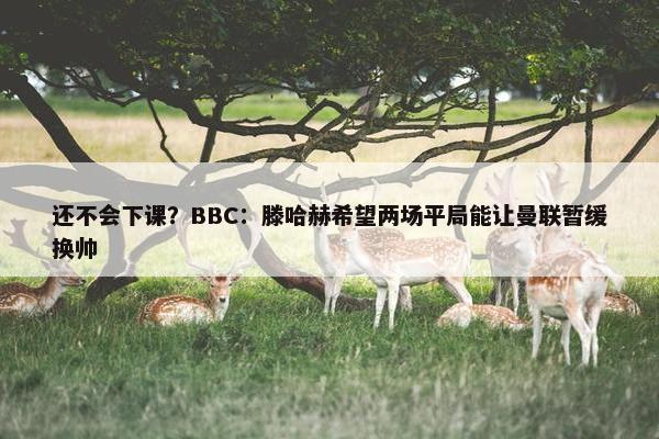 还不会下课？BBC：滕哈赫希望两场平局能让曼联暂缓换帅