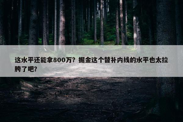 这水平还能拿800万？掘金这个替补内线的水平也太拉胯了吧？