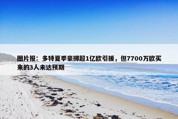 图片报：多特夏季豪掷超1亿欧引援，但7700万欧买来的3人未达预期