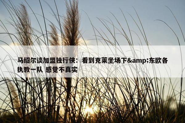 马绍尔谈加盟独行侠：看到克莱坐场下&东欧各执教一队 感觉不真实