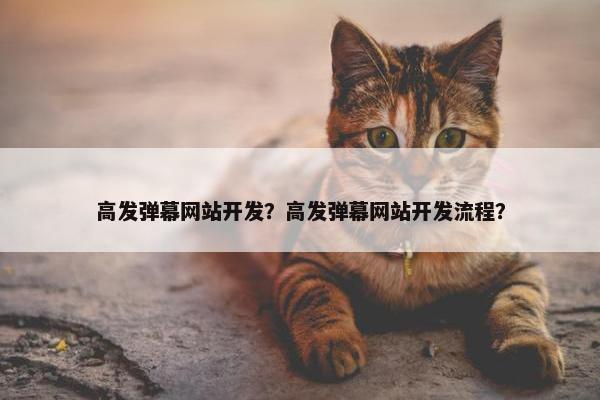 高发弹幕网站开发？高发弹幕网站开发流程？