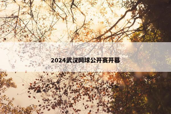 2024武汉网球公开赛开幕