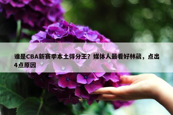 谁是CBA新赛季本土得分王？媒体人最看好林葳，点出4点原因