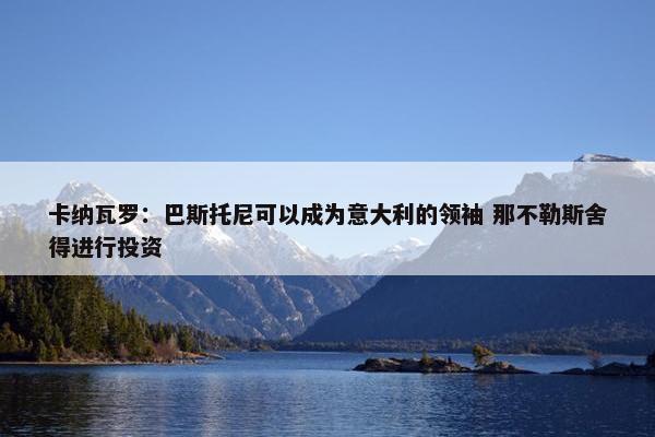 卡纳瓦罗：巴斯托尼可以成为意大利的领袖 那不勒斯舍得进行投资