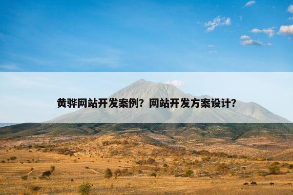 黄骅网站开发案例？网站开发方案设计？