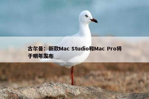 古尔曼：新款Mac Studio和Mac Pro将于明年发布