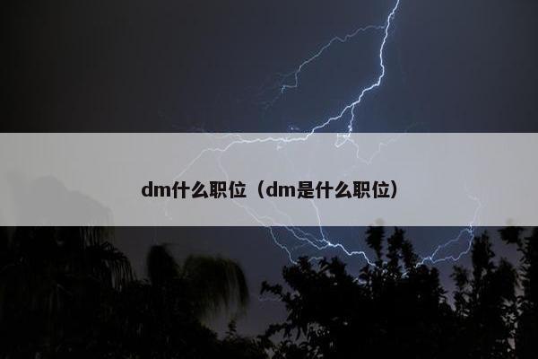 dm什么职位（dm是什么职位）