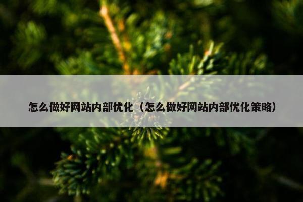 怎么做好网站内部优化（怎么做好网站内部优化策略）