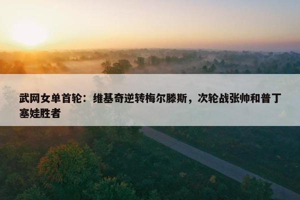 武网女单首轮：维基奇逆转梅尔滕斯，次轮战张帅和普丁塞娃胜者