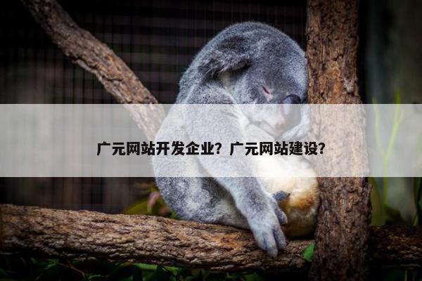 广元网站开发企业？广元网站建设？