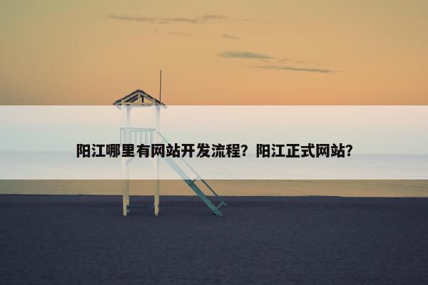 阳江哪里有网站开发流程？阳江正式网站？