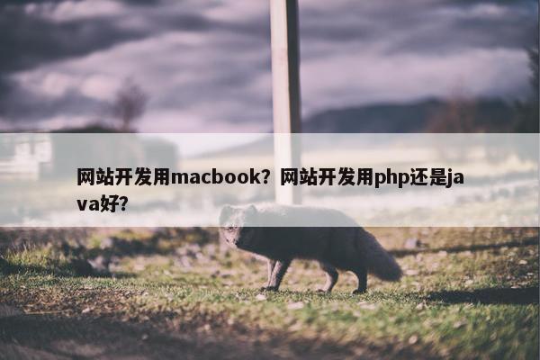 网站开发用macbook？网站开发用php还是java好？