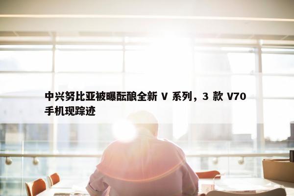 中兴努比亚被曝酝酿全新 V 系列，3 款 V70 手机现踪迹