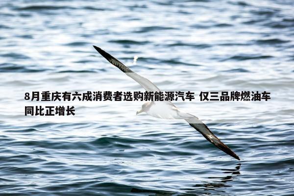 8月重庆有六成消费者选购新能源汽车 仅三品牌燃油车同比正增长