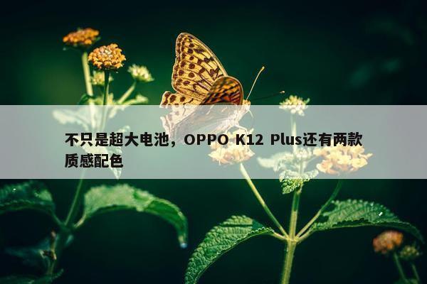 不只是超大电池，OPPO K12 Plus还有两款质感配色