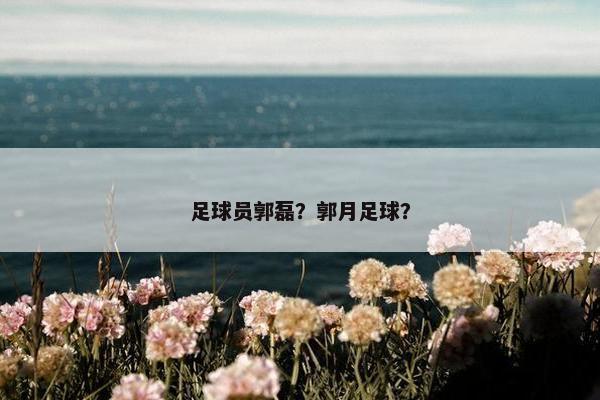 足球员郭磊？郭月足球？